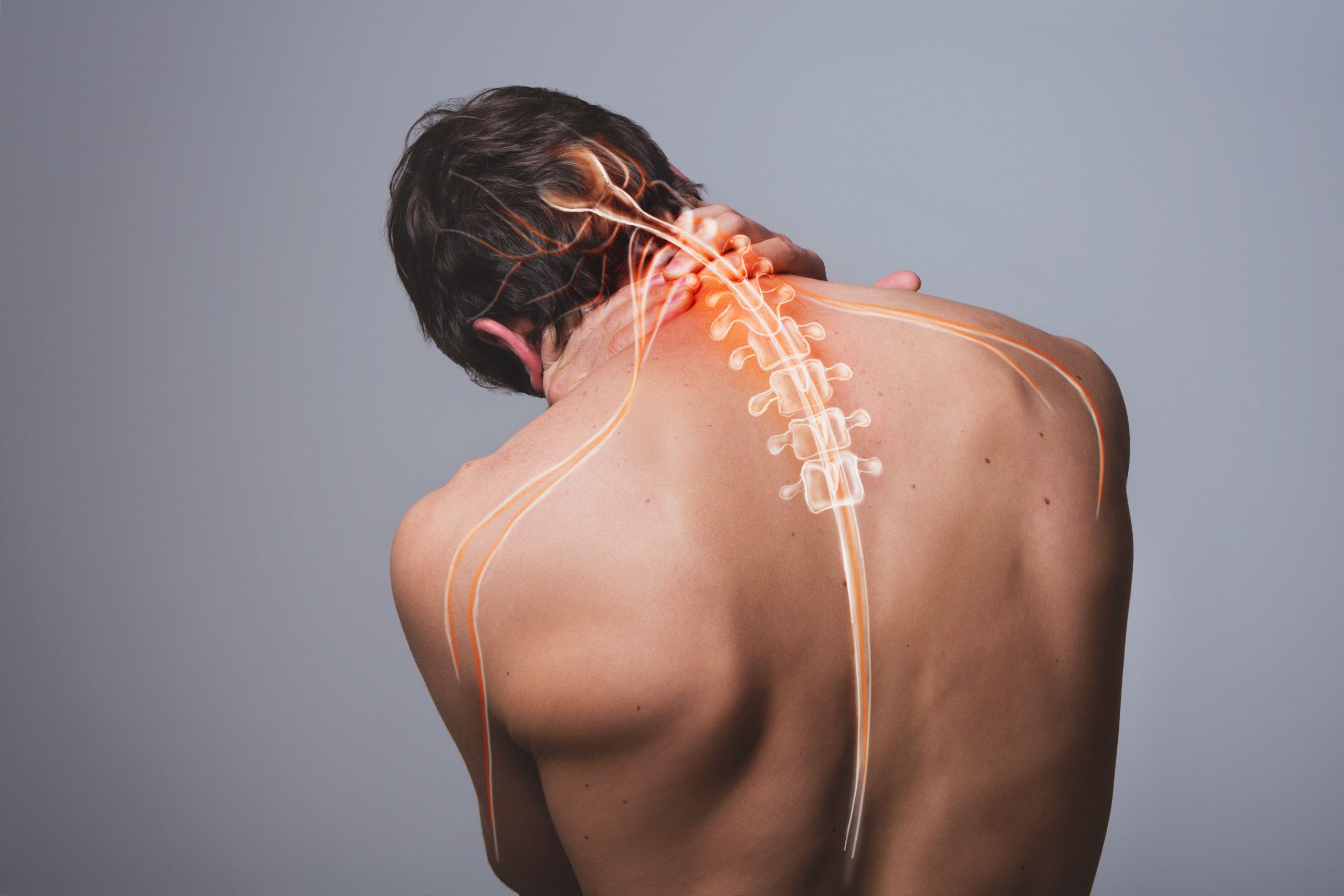 Chiropractor For Pinched Nerve Near Clearview, WA