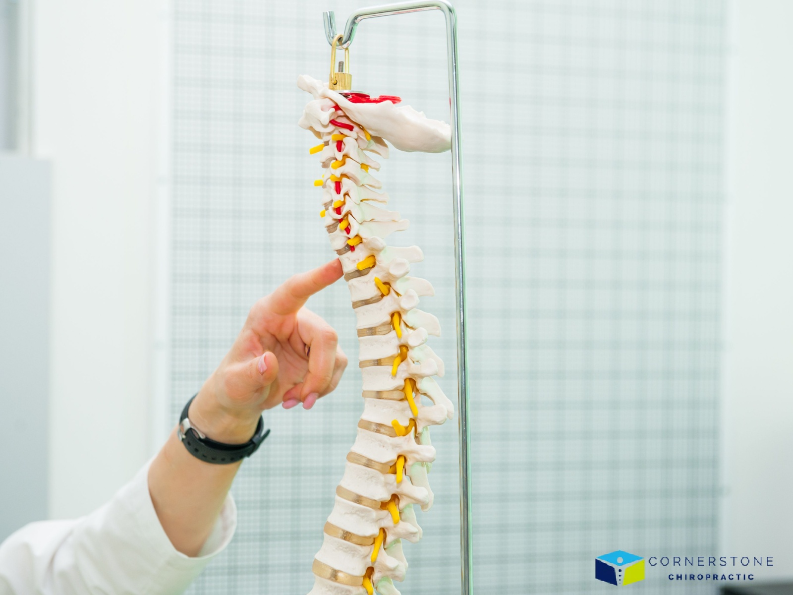 No Two Chiropractic Plans Look the Same for a Reason